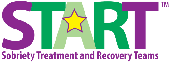 START Training Portal